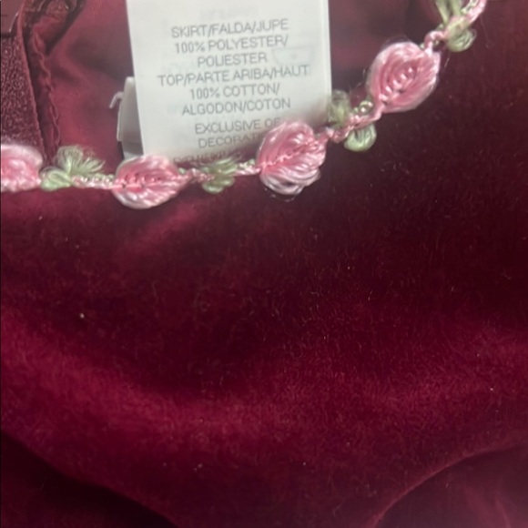 Vintage Dress Baby Toddler  Pink Maroon Roses Velvet Tulle Girl Formal Easter - Picture 11 of 11